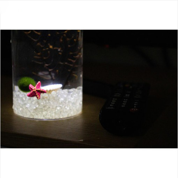 원기둥라이트 LED 마리모 DIY 세트 애완식물 마리모키우기