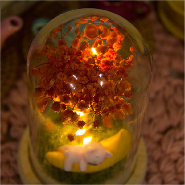 DIY 플라워 박스 - 11월 프리저브드 안개꽃 유리돔 무드등 만들기