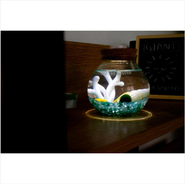 원형라이트(소) LED 마리모 DIY 세트 애완식물 마리모키우기