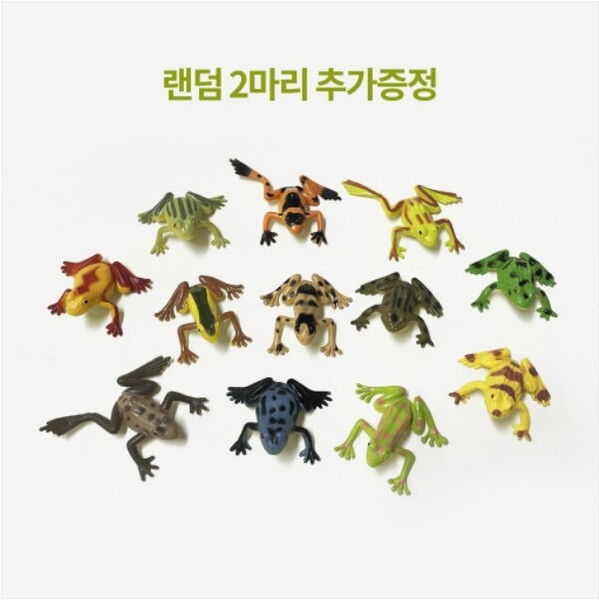 개구리 성장과정 스몰월드 만들기 DIY/KIT