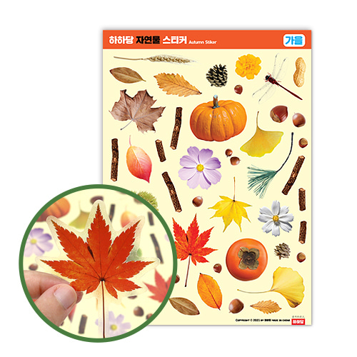가을 - 자연물 스티커