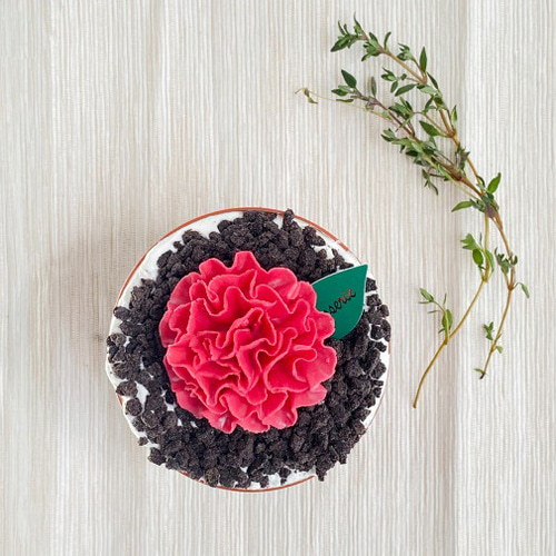 감사한 마음을 담아 카네이션 화분 케이크 2개 만들기 DIY KIT
