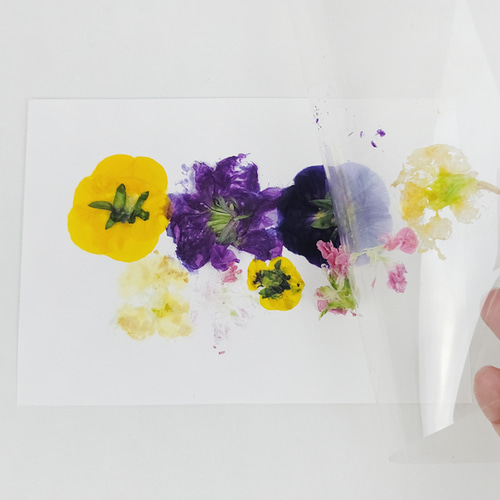 꽃 엽서 만들기 패키지 DIY/KIT 망치질 식용꽃 꽃편지 10인용 (1 ~ 2주전 예약)