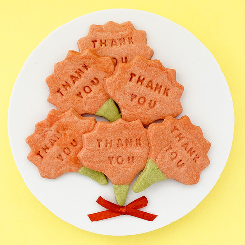 카네이션 감사 쿠키 만들기 키트 DIY KIT 어버이날 어린이체험 요리키트