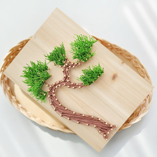 소나무 스트링아트 만들기 패키지 DIY/KIT 키트 수업 교구 전통 나무