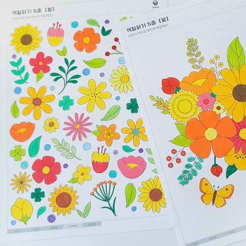 색칠공부 꽃 5종 그리기 DIY KIT 컬러링 도안 그림그리기 색칠하기 컬러링북