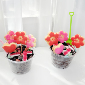 꽃 쿠키 컵케익 두개 만들기 키트 패키지 DIY KIT
